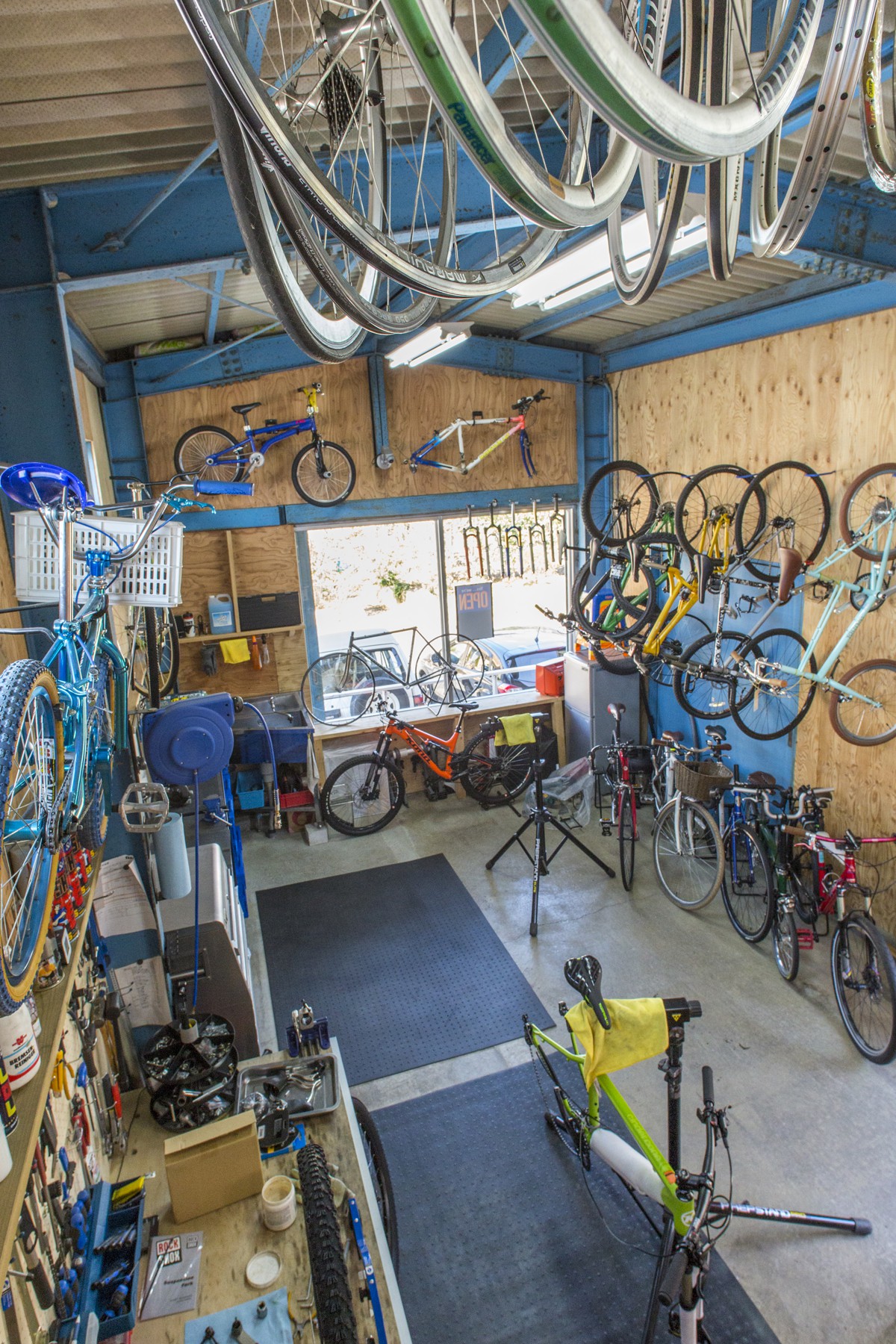 06_自転車R9A4484_TasPark_AO