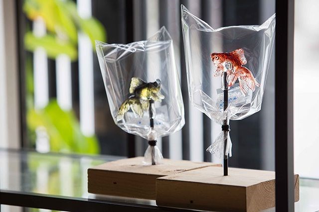 THE VISUAL PERFORMER