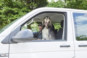 愛犬たちと遊ぶための、カスタムVW(フォルクスワーゲン)トランスポーター 。