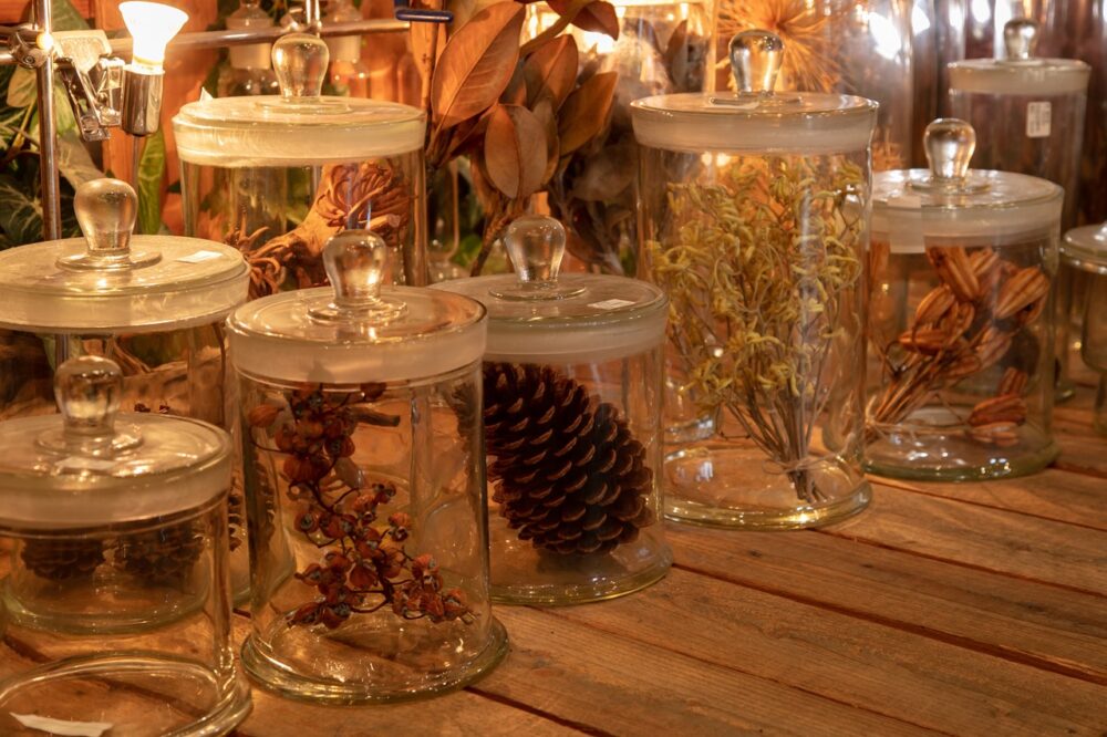 理化学ガラス製品を使って、ドライ系植物をアカデミックに飾る!