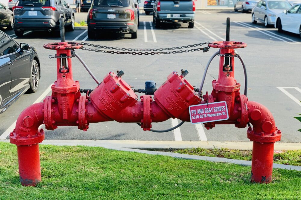 LiLiCo連載vol.3 ロサンゼルス旅行記【昭和45年女】